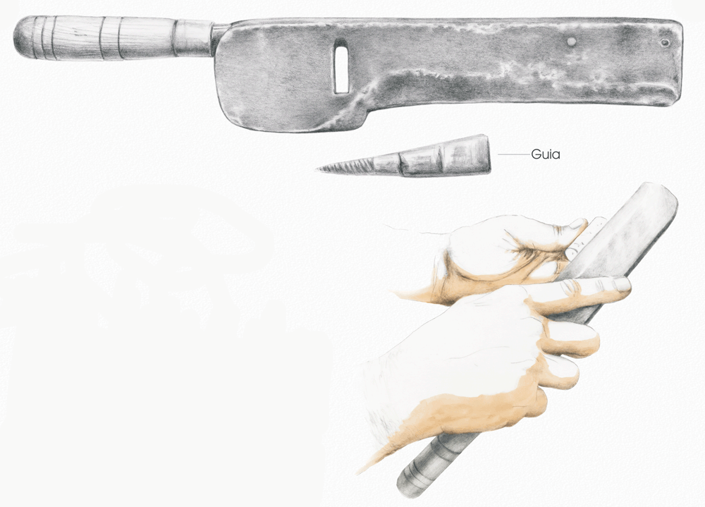 Quest3 image 1.2. introduction